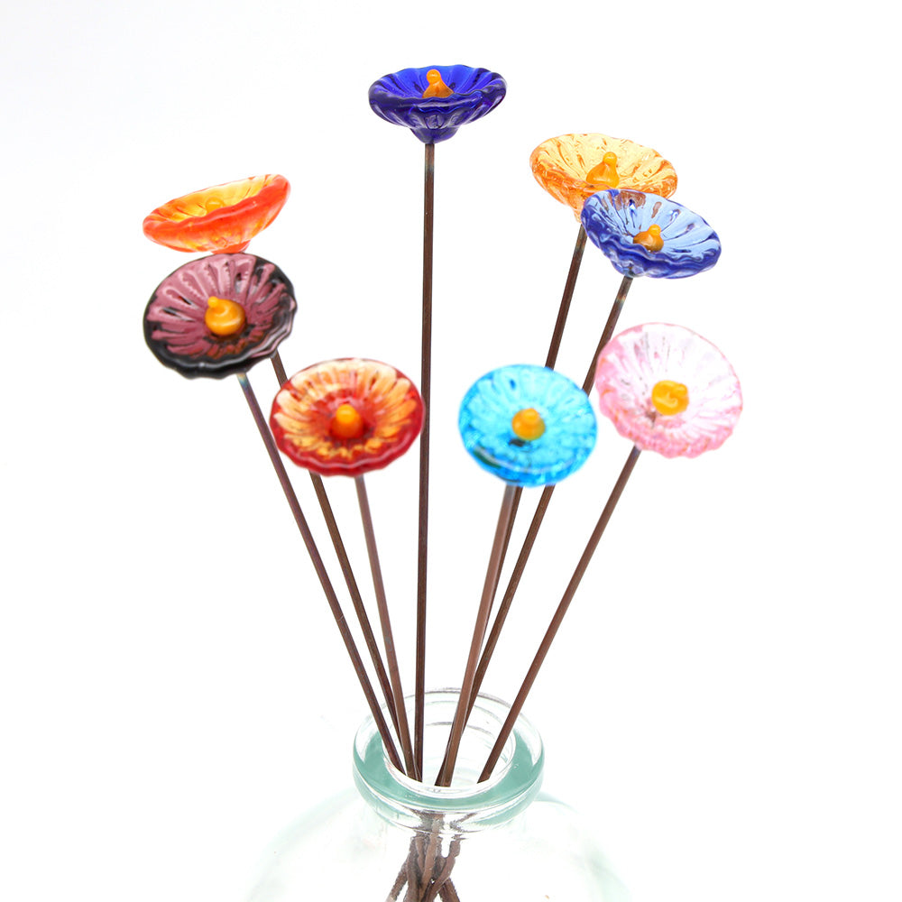 Rainbow of Transparent Glass Daisy Flowers with Vase