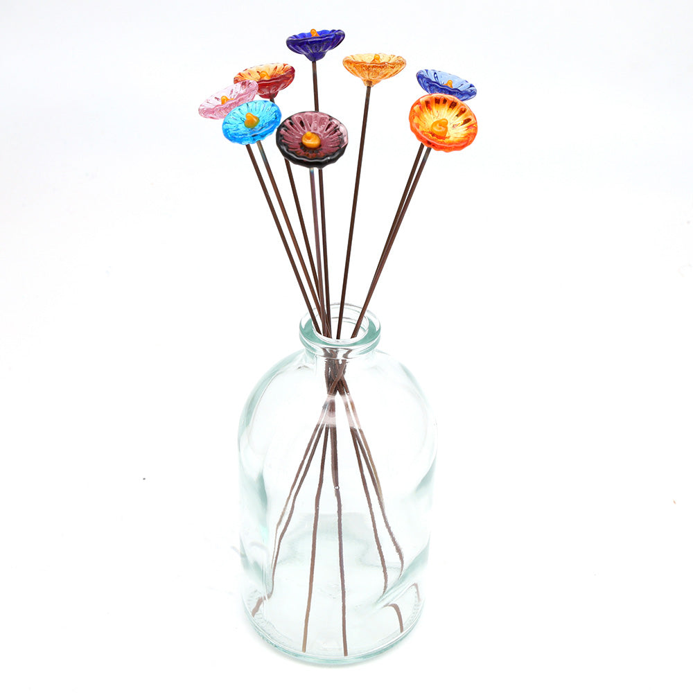 Rainbow of Transparent Glass Daisy Flowers with Vase
