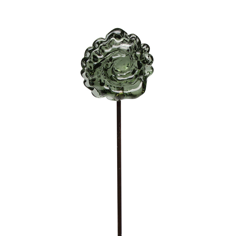 Ammonite Plant Decoration