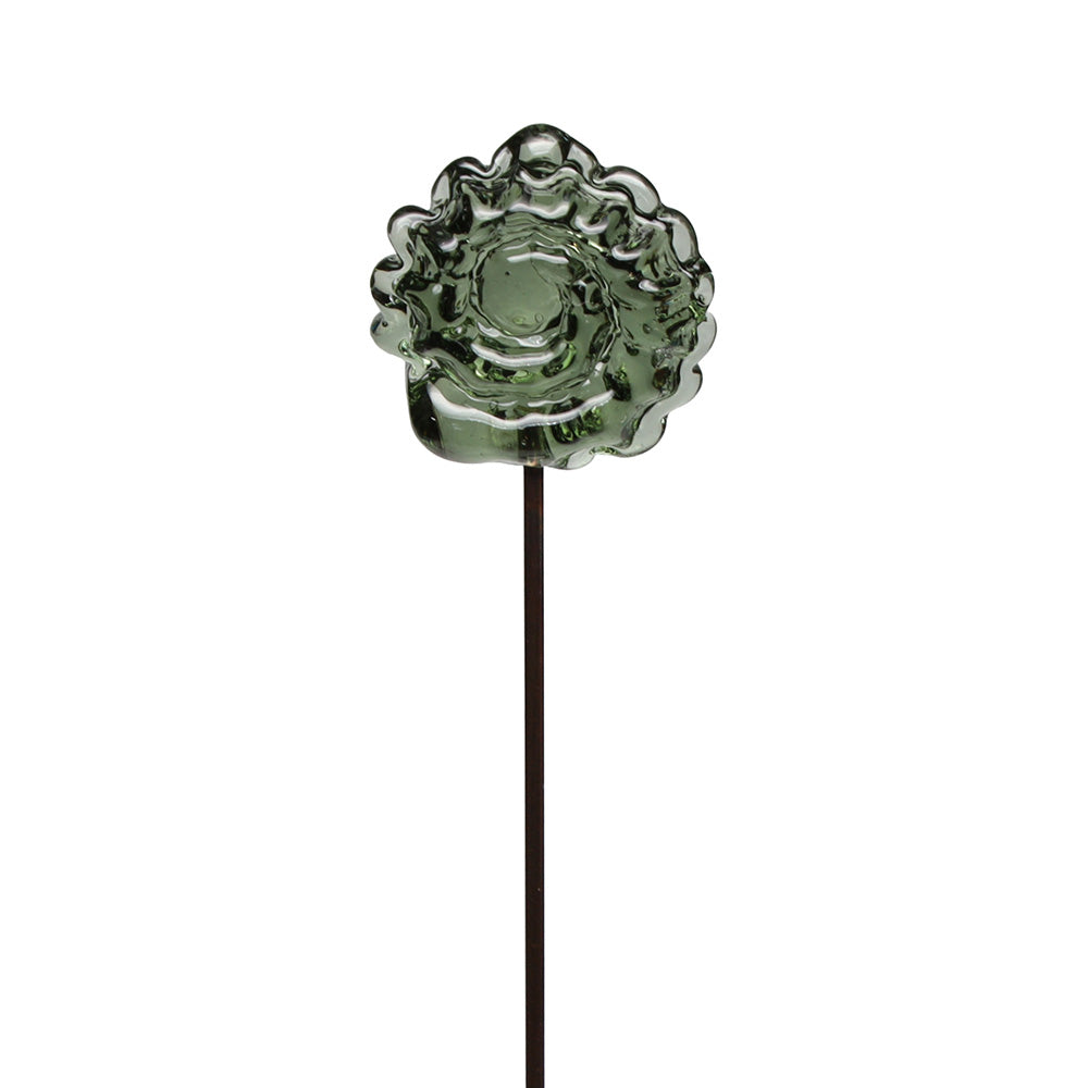Ammonite Plant Decoration