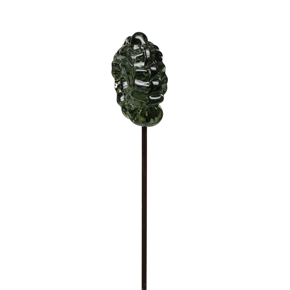 Ammonite Plant Decoration