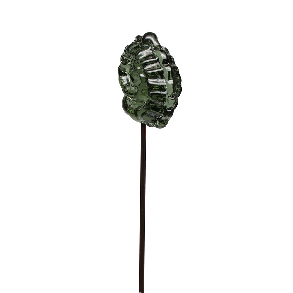 Ammonite Plant Decoration