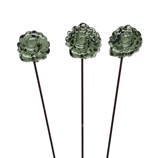 Ammonite Plant Decoration