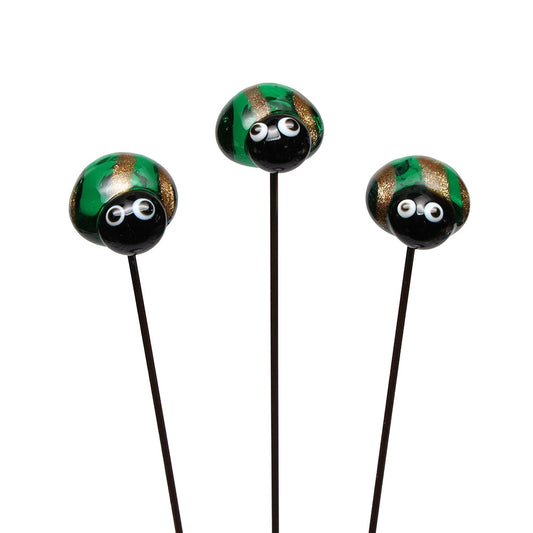 Beetle Plant Decoration