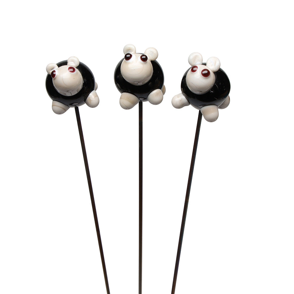 Black Sheep Plant Decoration