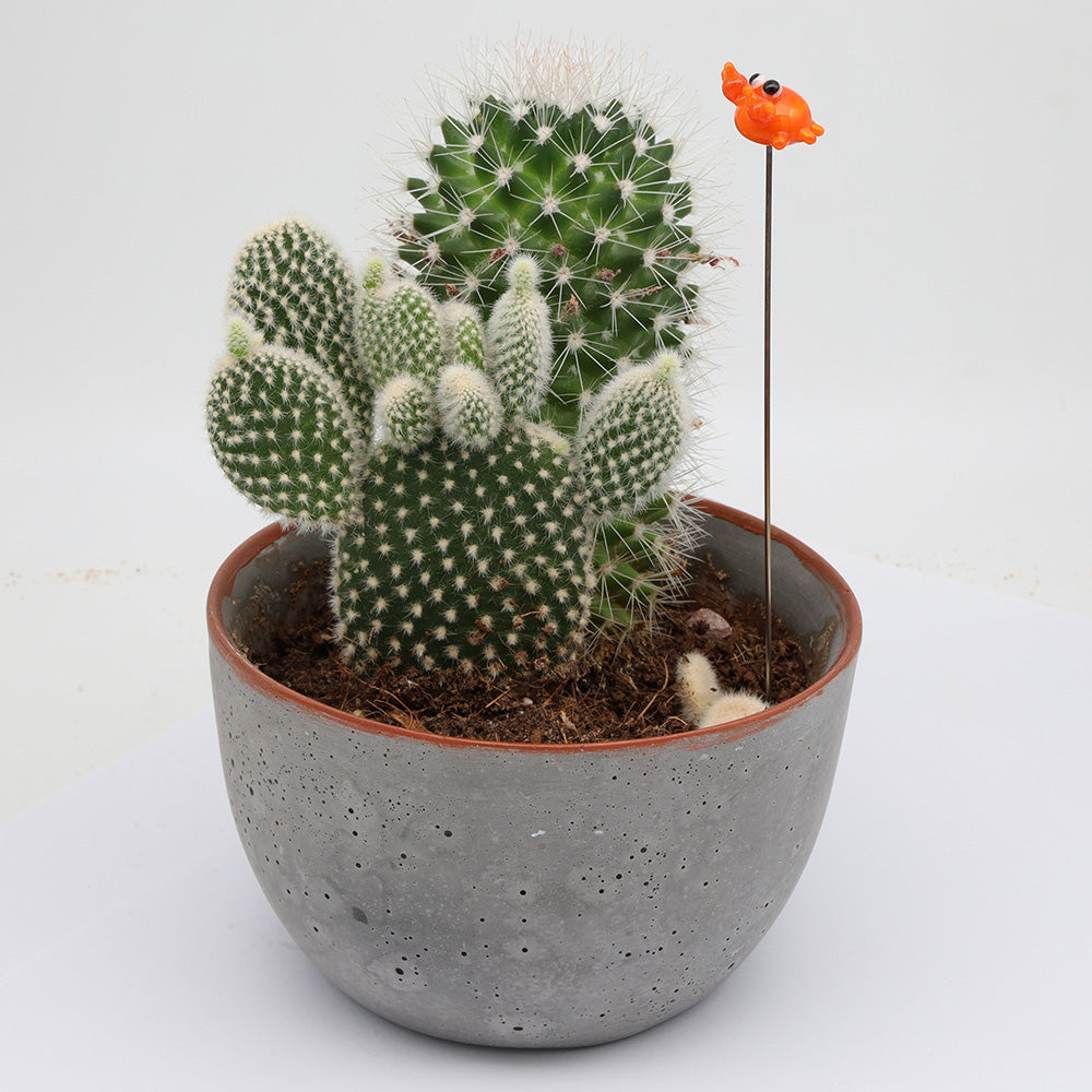 Crab Plant Decoration