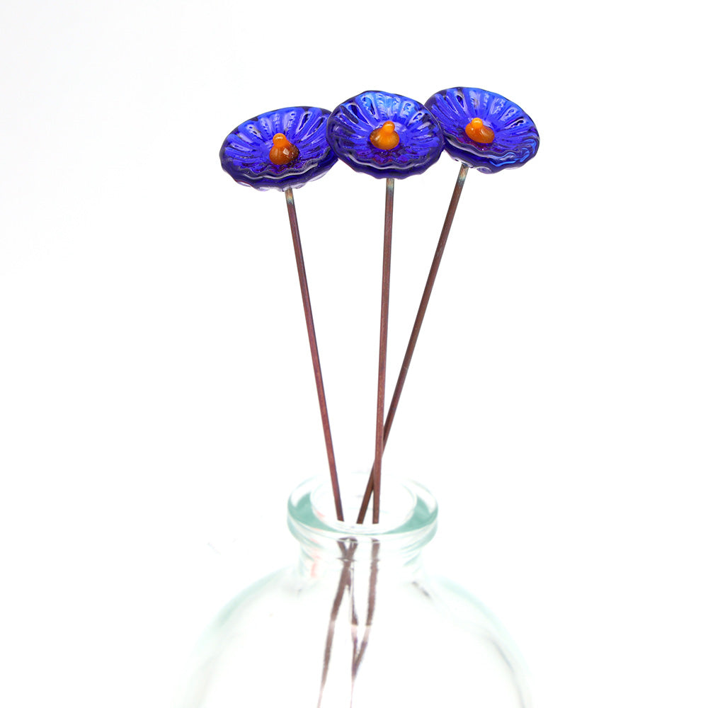 Single Glass Daisy -  Transparent Colours