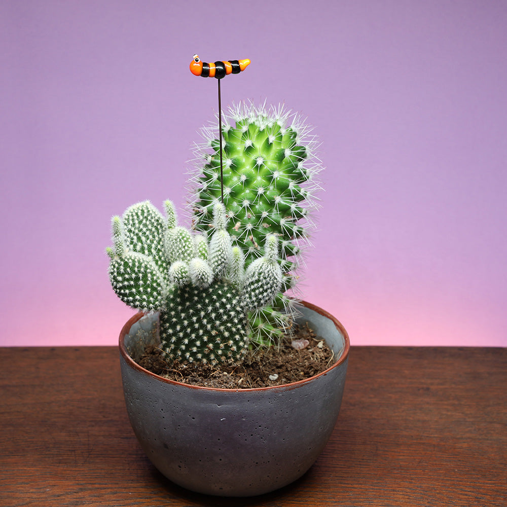Halloween Caterpillar Plant Decoration