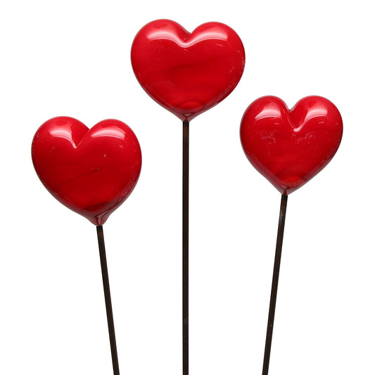 Red Heart Plant Decoration