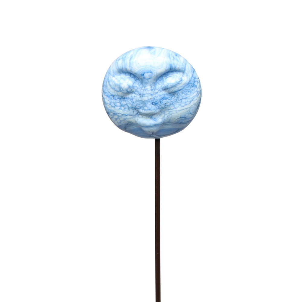 Moon Plant Decoration