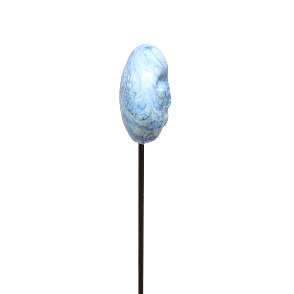 Moon Plant Decoration