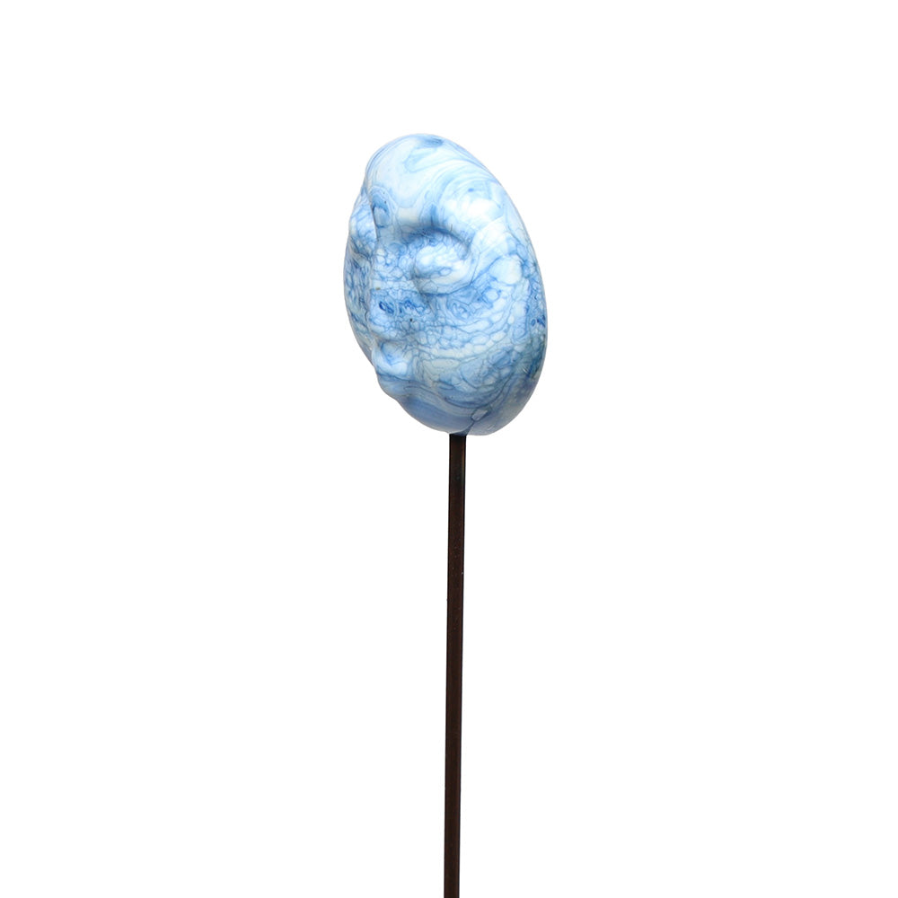 Moon Plant Decoration