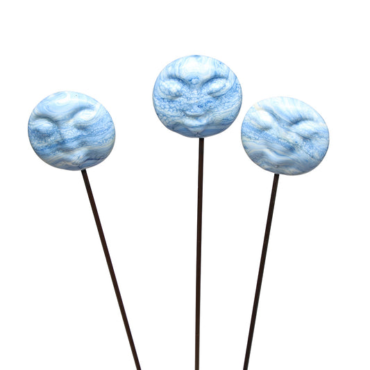 Moon Plant Decoration