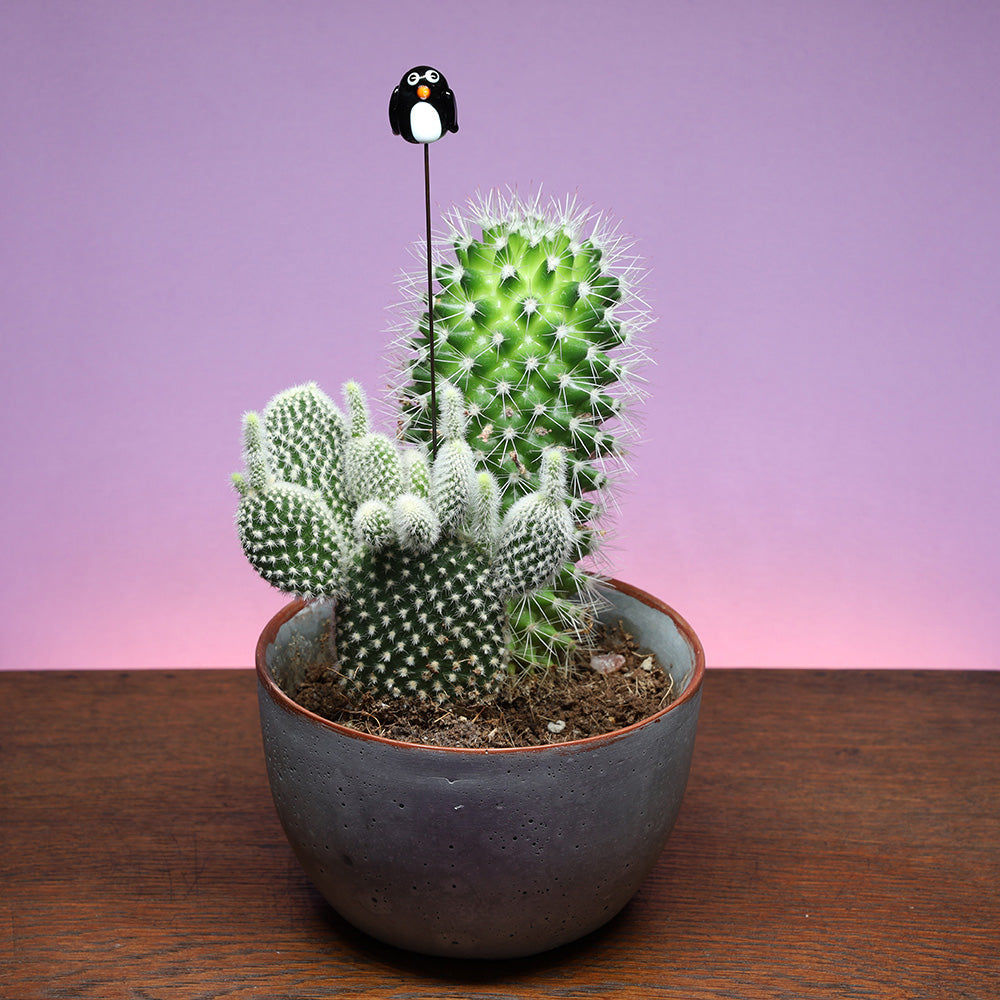 Penguin Plant Decoration