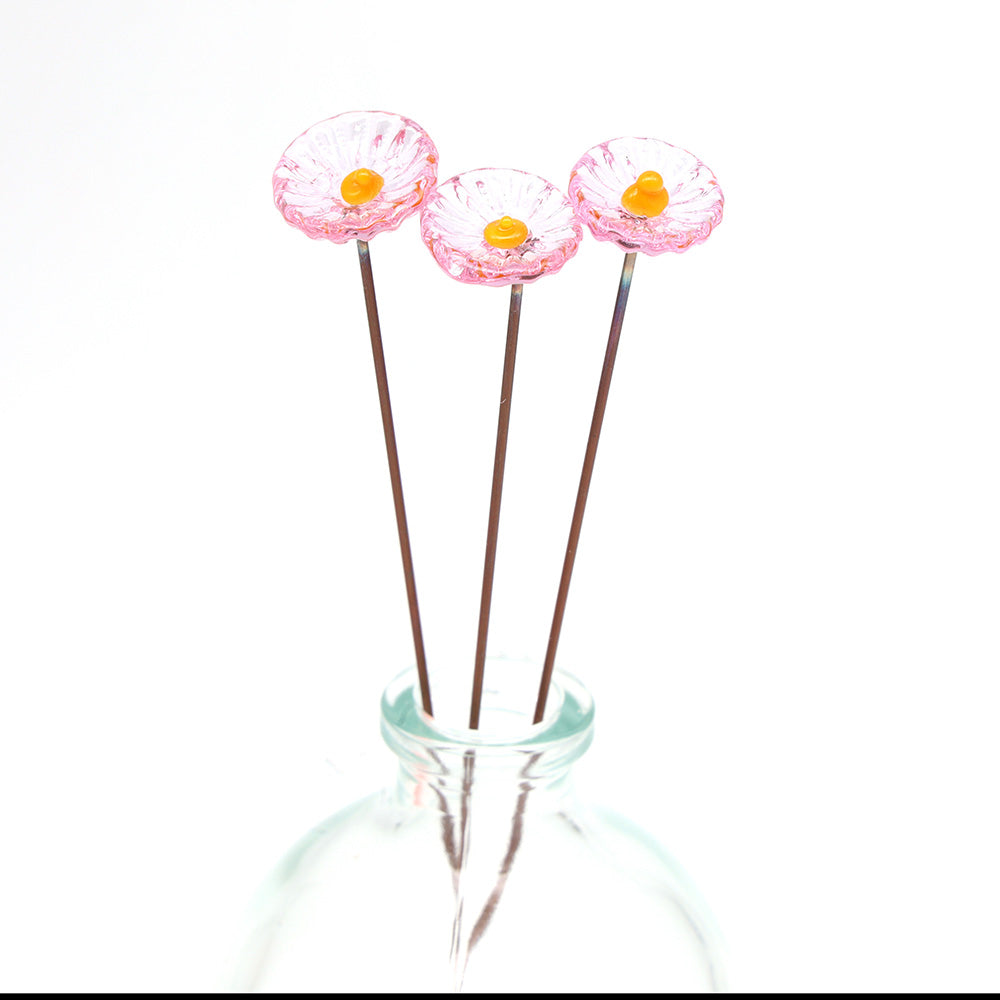 Single Glass Daisy -  Transparent Colours