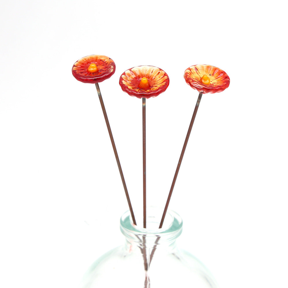 Single Glass Daisy -  Transparent Colours
