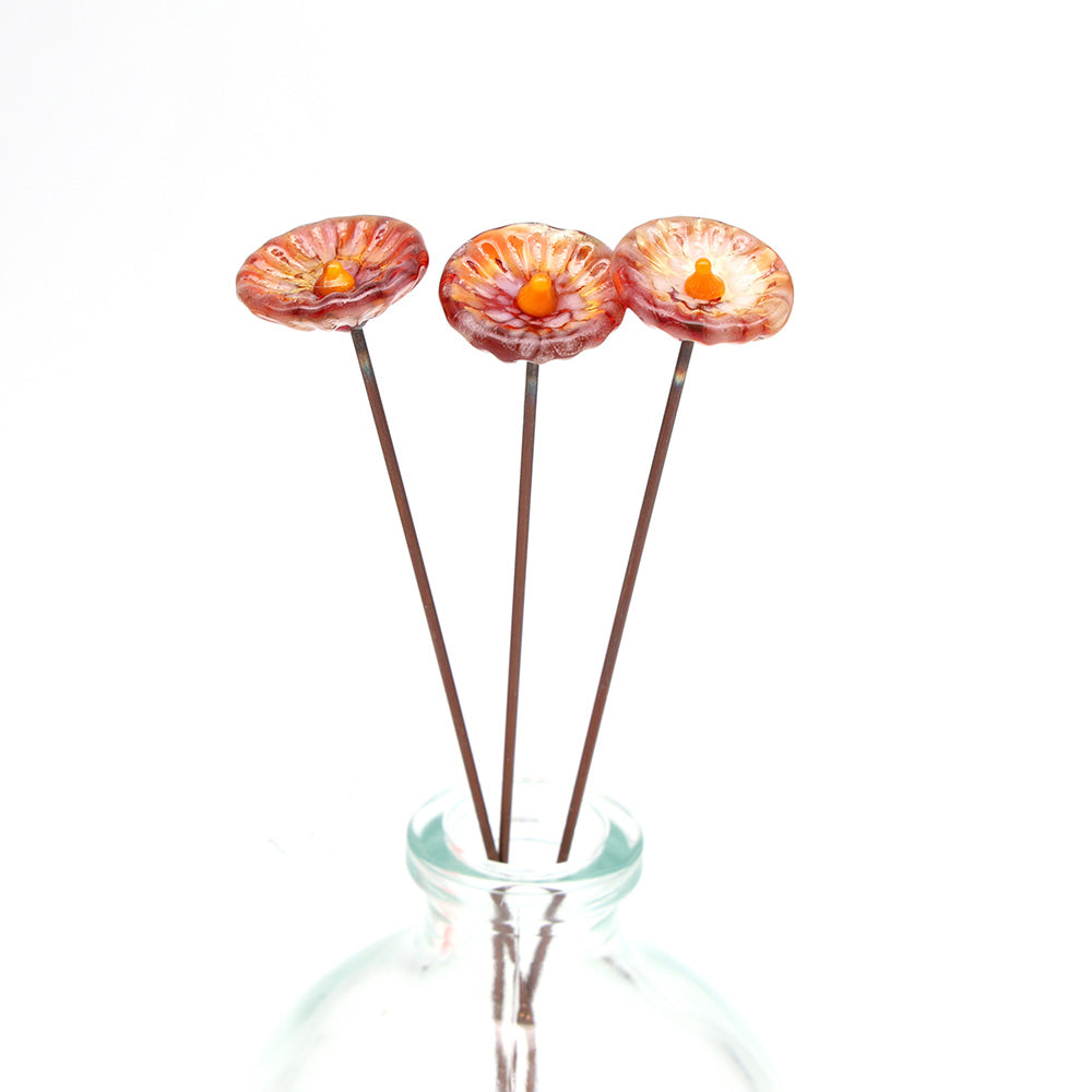 Single Glass Daisy -  Transparent Speckled Colours