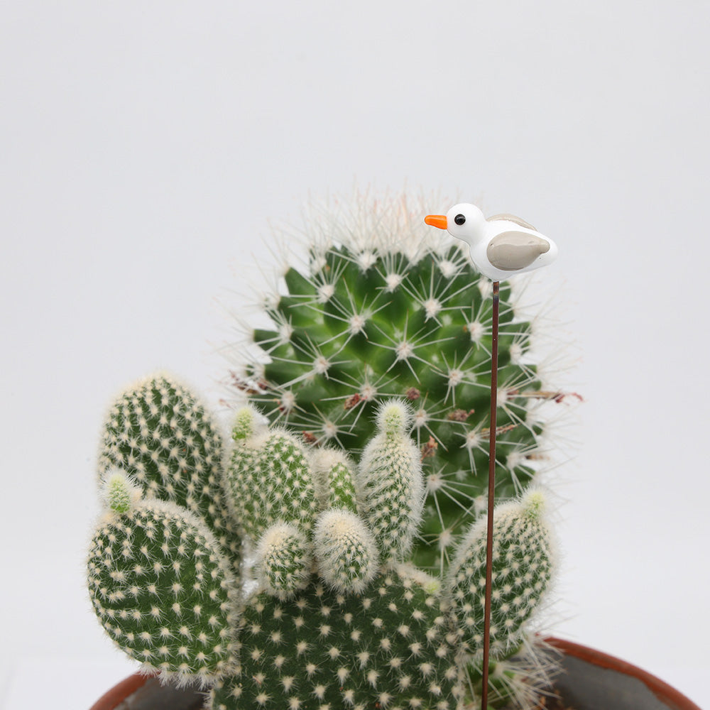 Seagull Plant Decoration