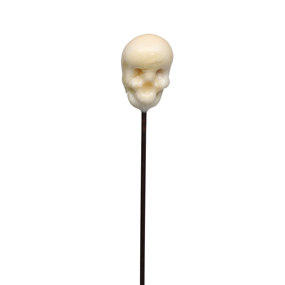 Skull Plant Decoration