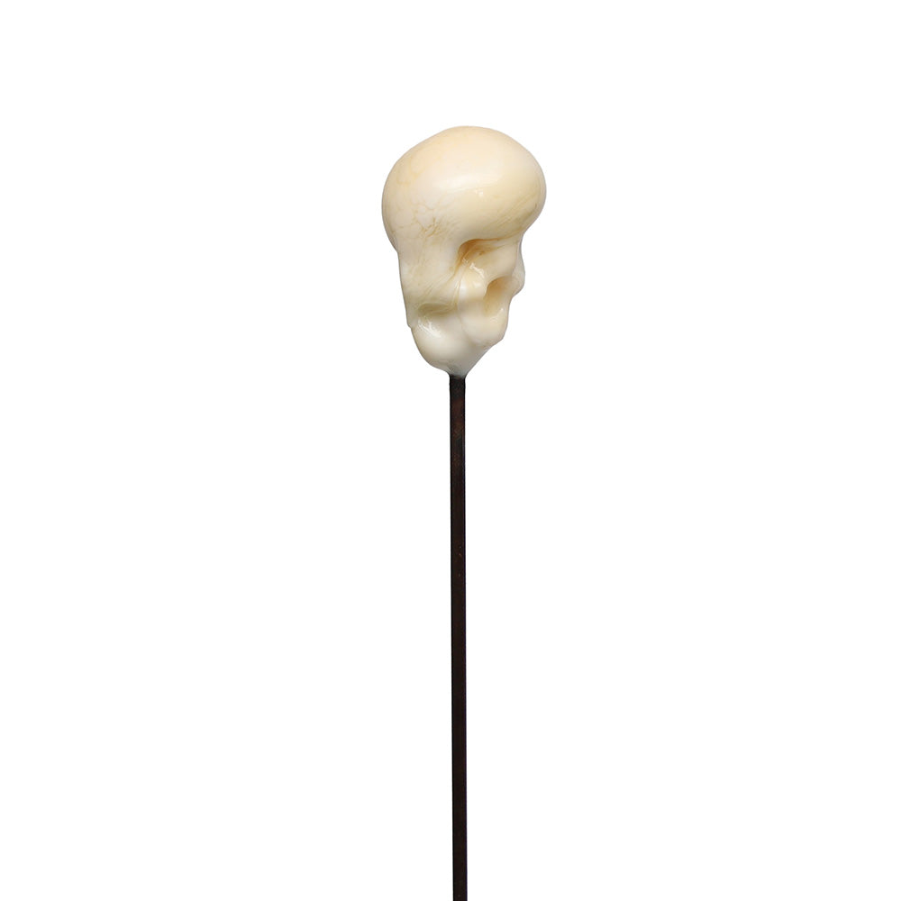 Skull Plant Decoration