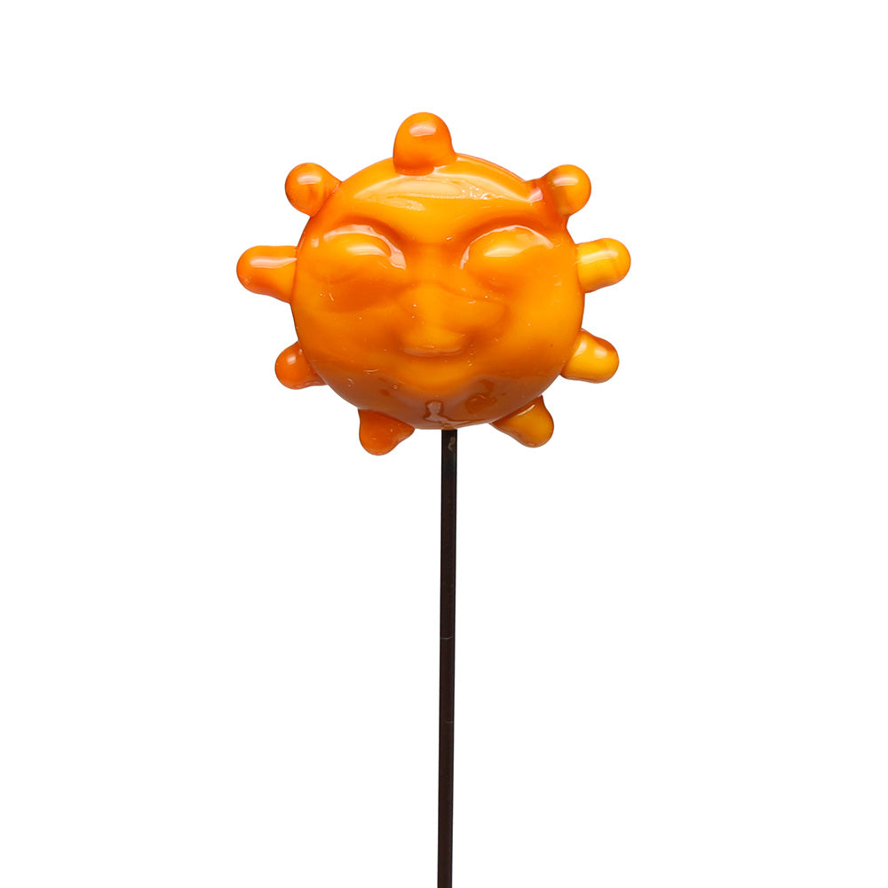 Sun Plant Decoration