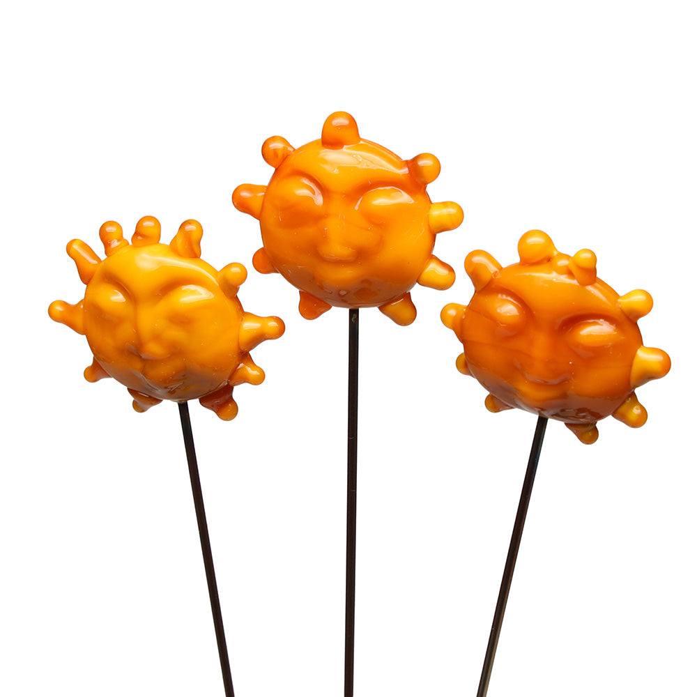 Sun Plant Decoration