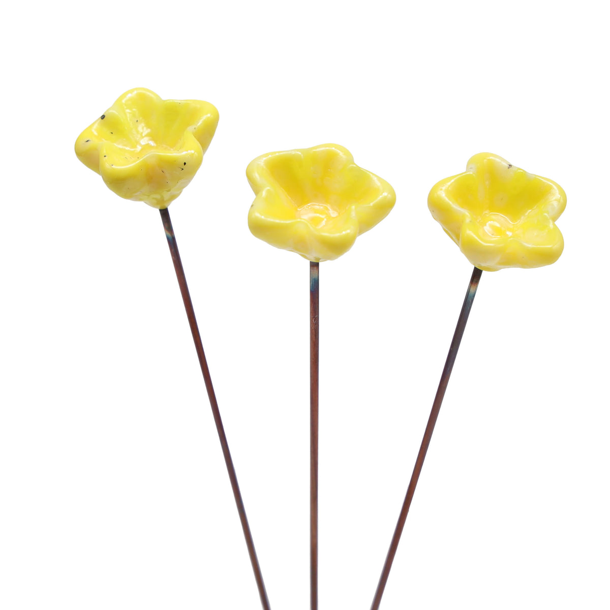 Yellow Glass Star Flower