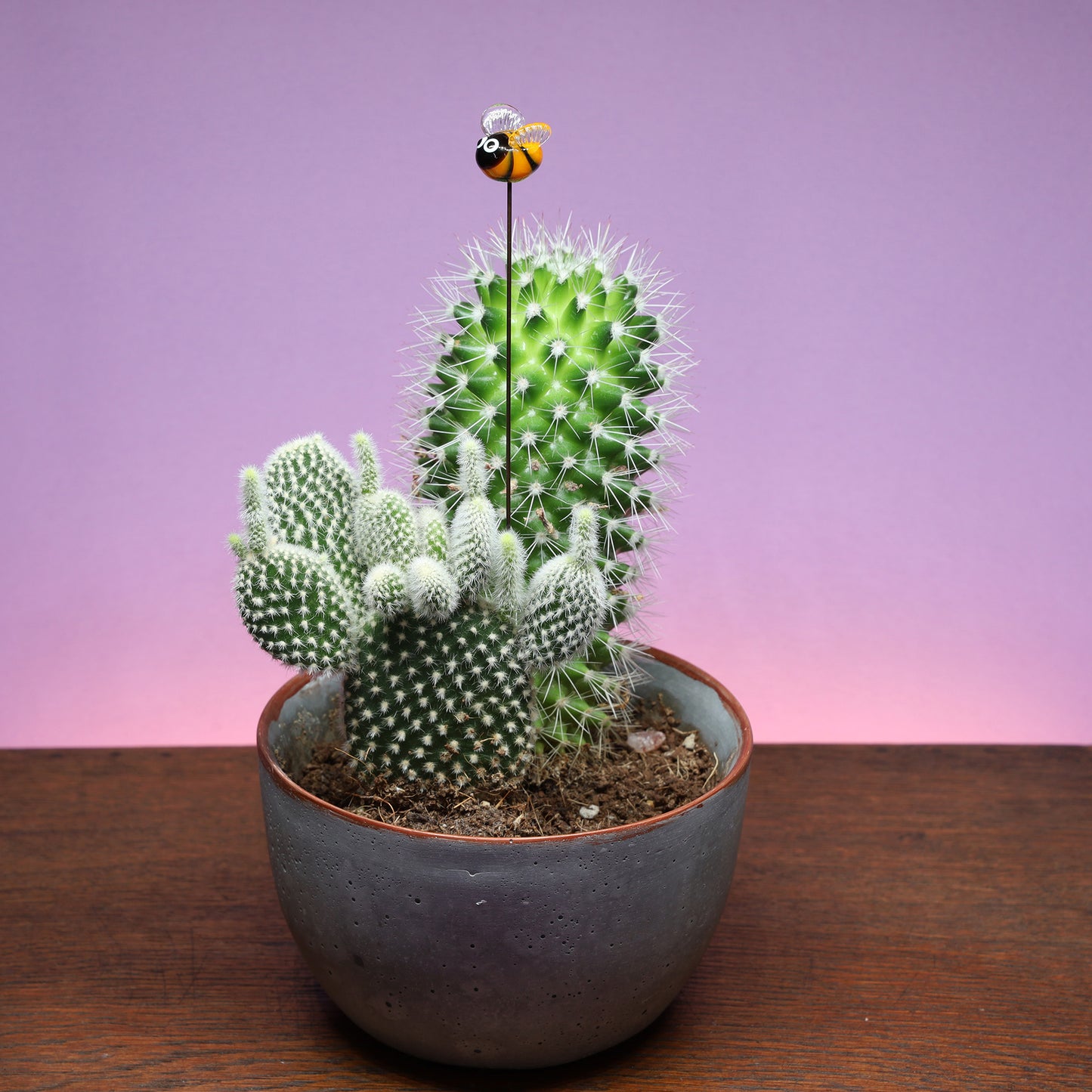 Bee Plant Decoration