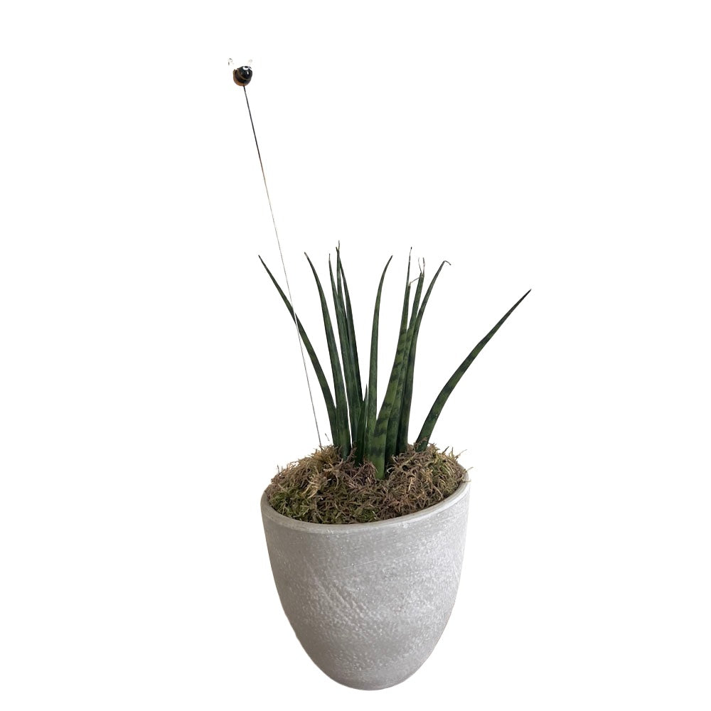 A tall, thin metal stake with a glass bee plant decoration on top, placed in a gray pot containing a green spiky plant and some moss. The bee has large, expressive eyes and translucent wings.