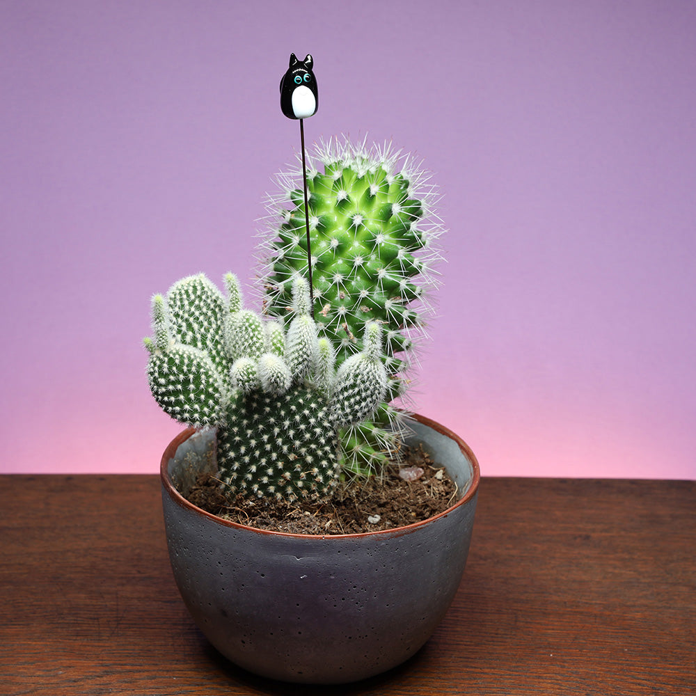 Black and White Cat Plant Decoration