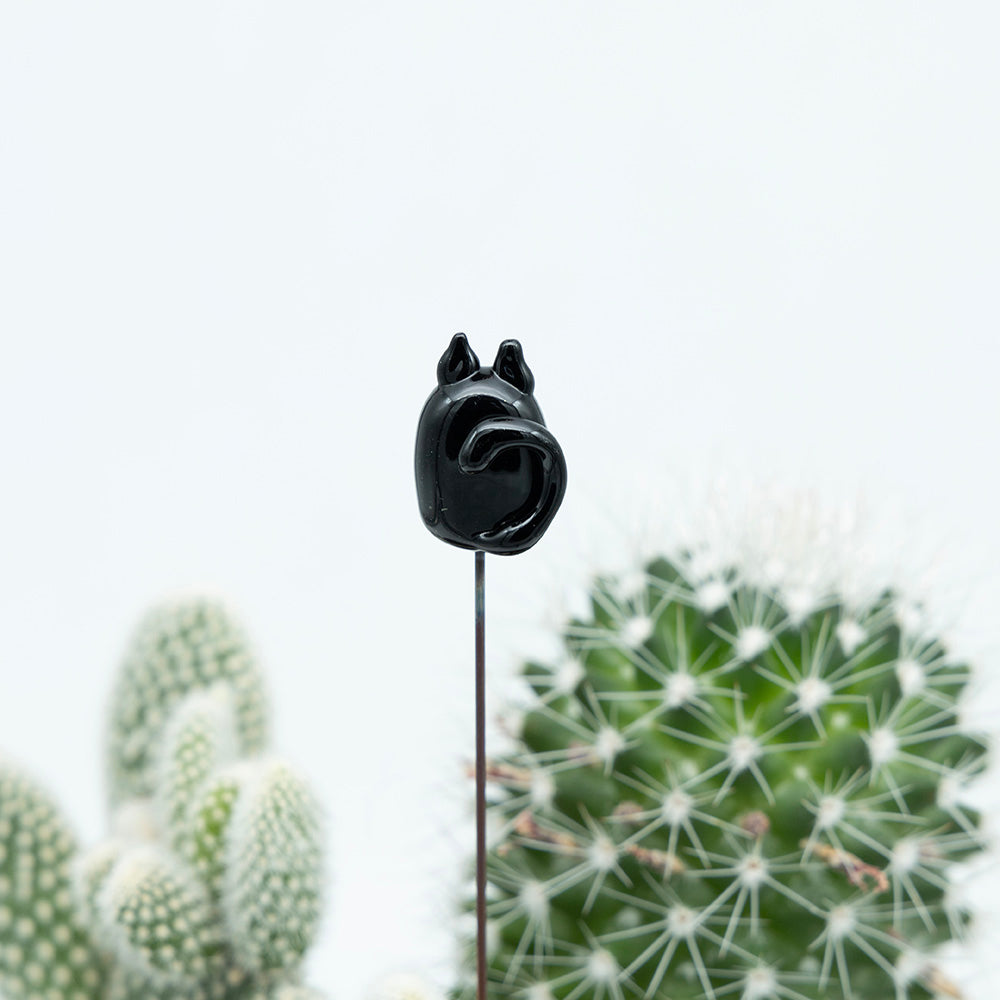 Back view of a black and white cat showing black tail. The cat is on a metal stick which sits in a cactus.