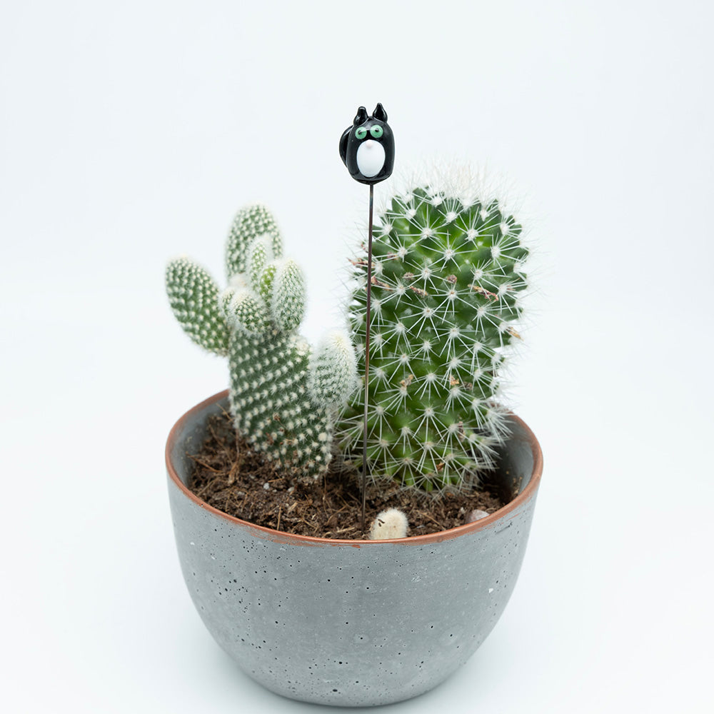 A black cat with white bib, pink nose , green eyes and black tail on a metal stick which sits in a cactus.