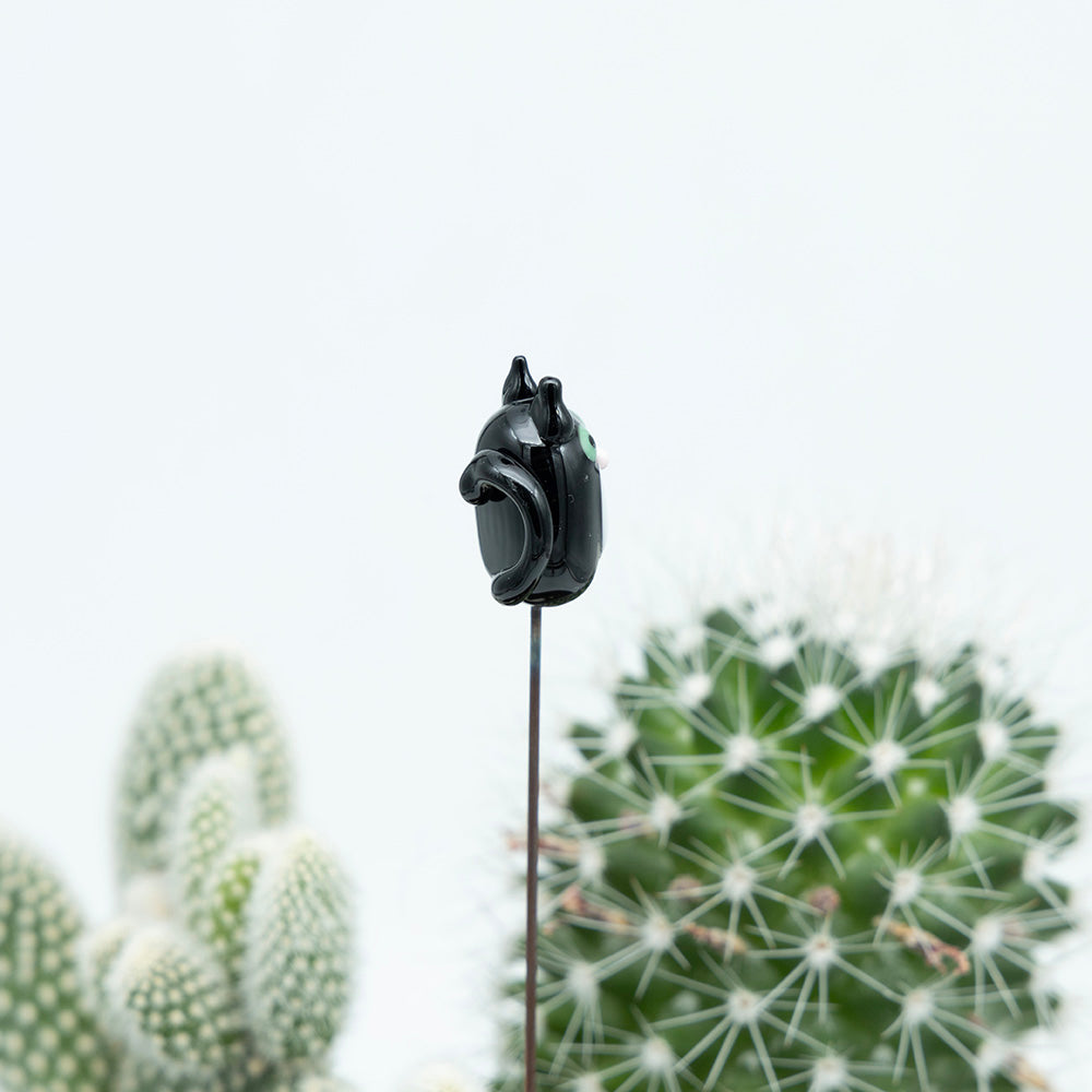 Side view of a black cat with white bib, pink nose , green eyes and black tail on a metal stick which sits in a cactus.