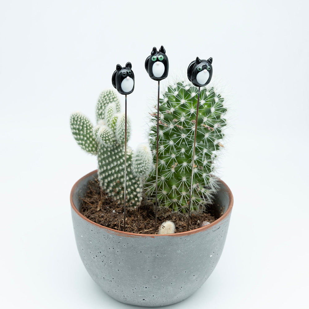 Three black cats with white bib, pink nose , green eyes and black tail. Each cat sits on a metal stick which sits in a cactus.