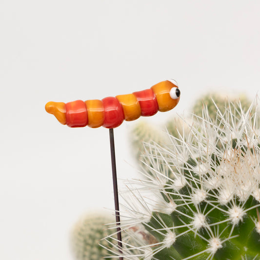 Side view of bright red and orange caterpillar plant decoration.