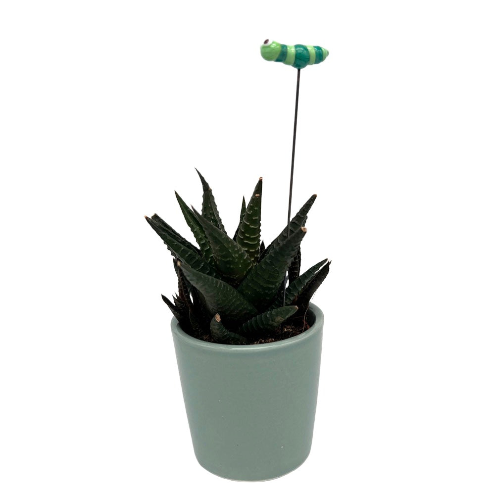 A glass caterpillar plant decoration on a stake, inserted into a small cactus plant in a light green pot. The caterpillar features light and dark green stripes.