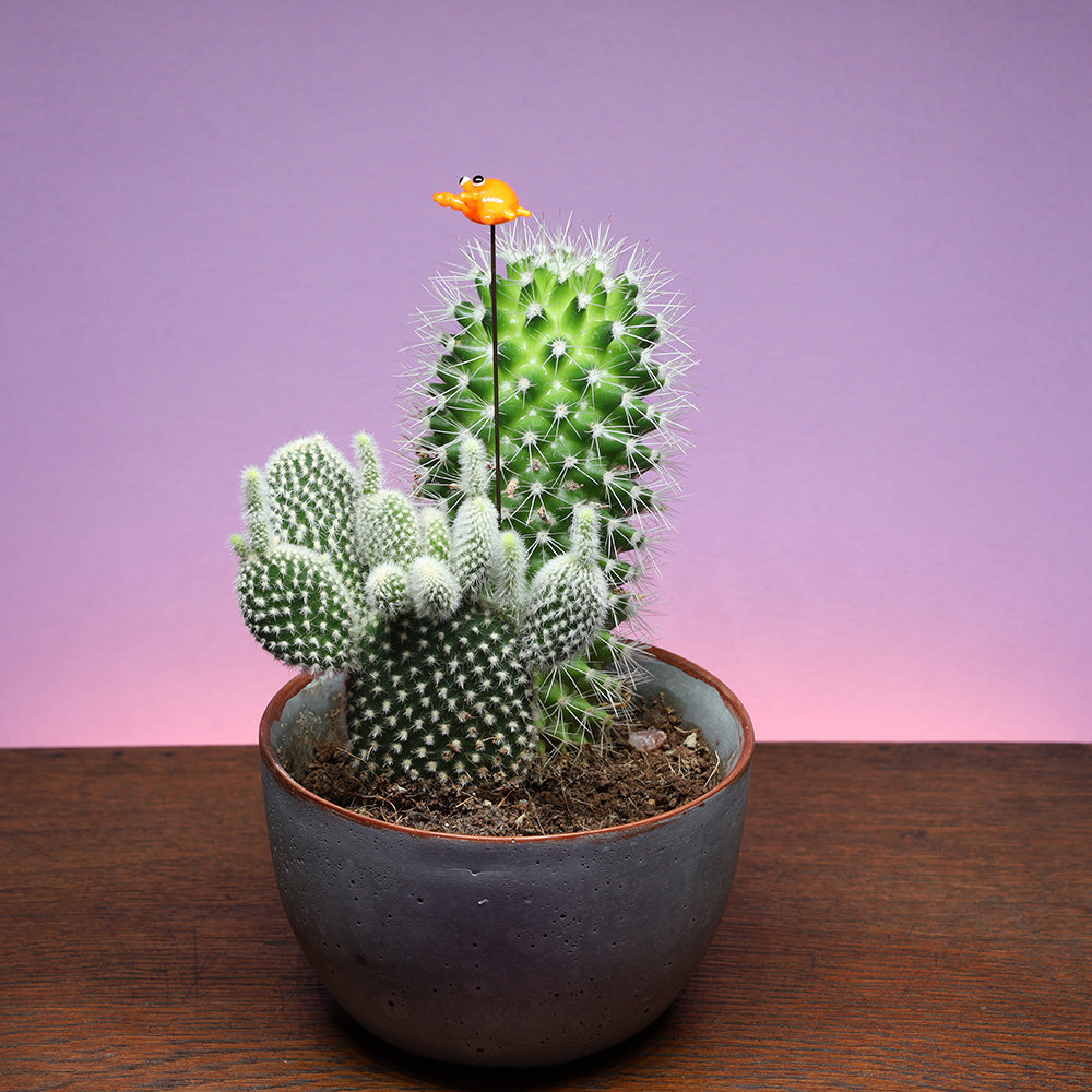 Crab Plant Decoration