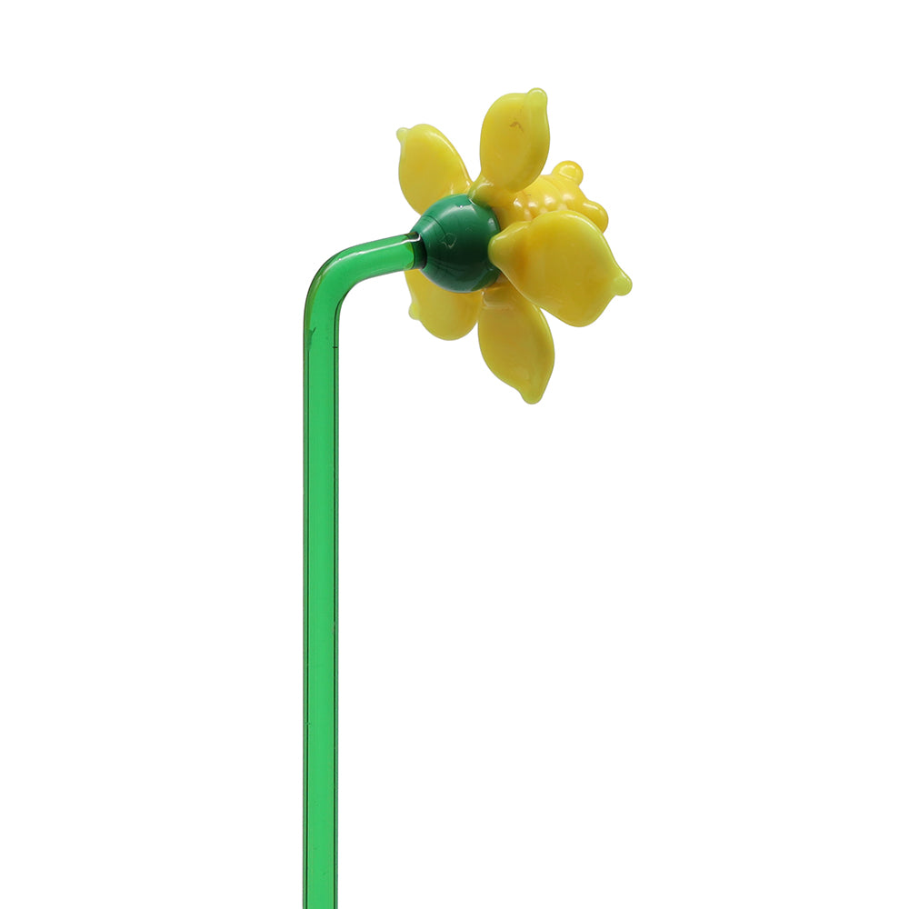 Daffodil Flower