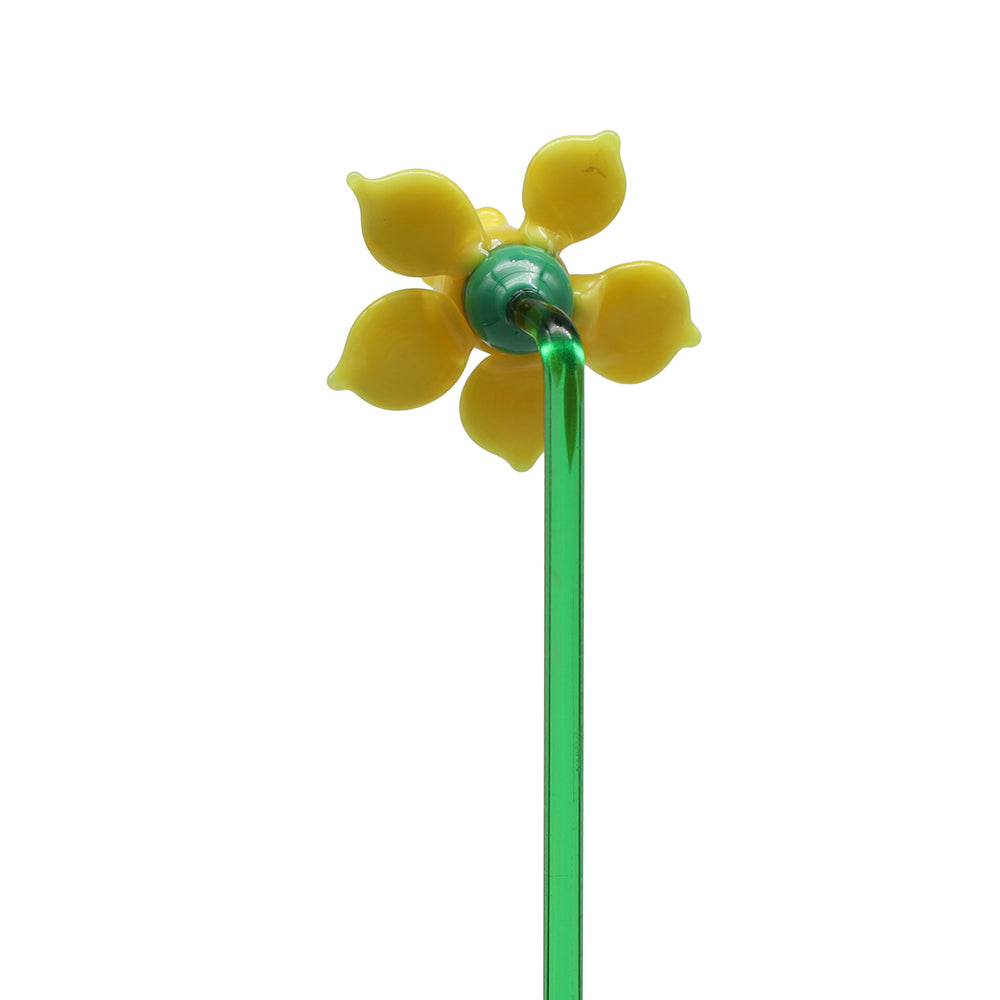 Daffodil Flower