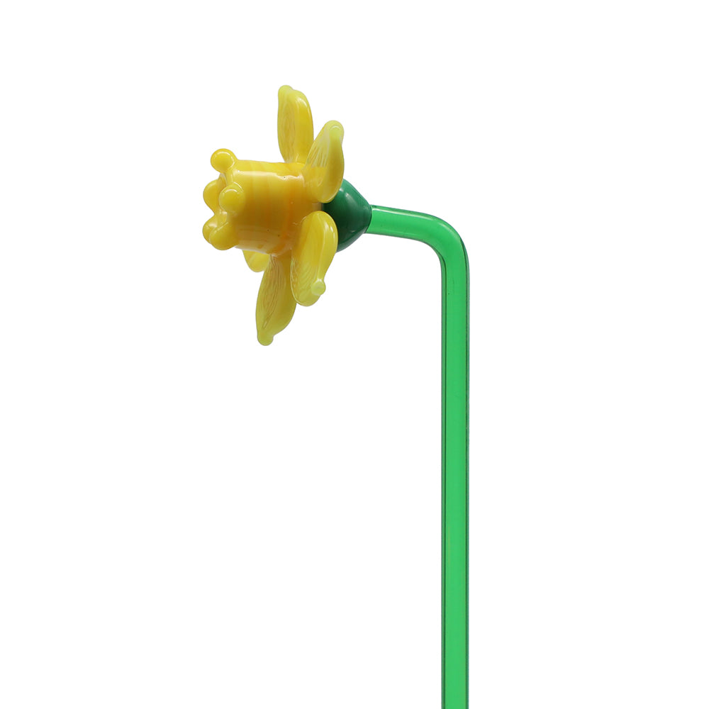 Daffodil Flower
