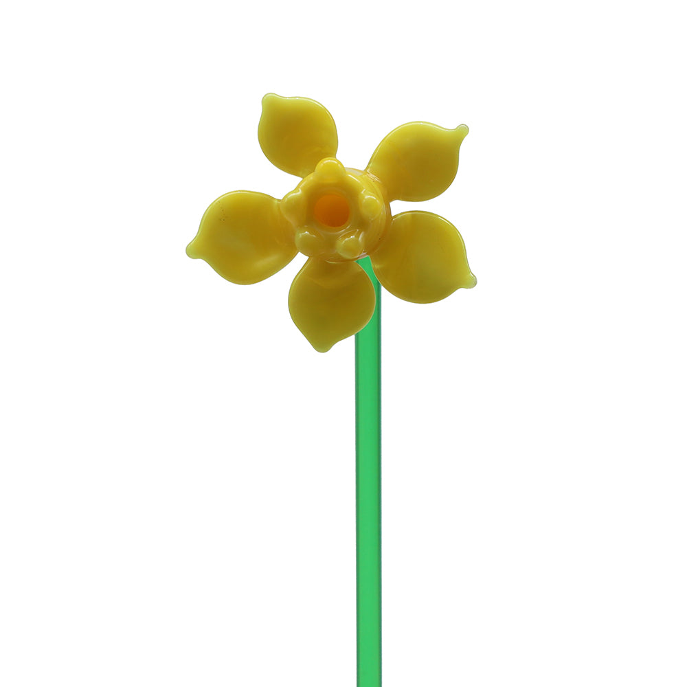 Daffodil Flower