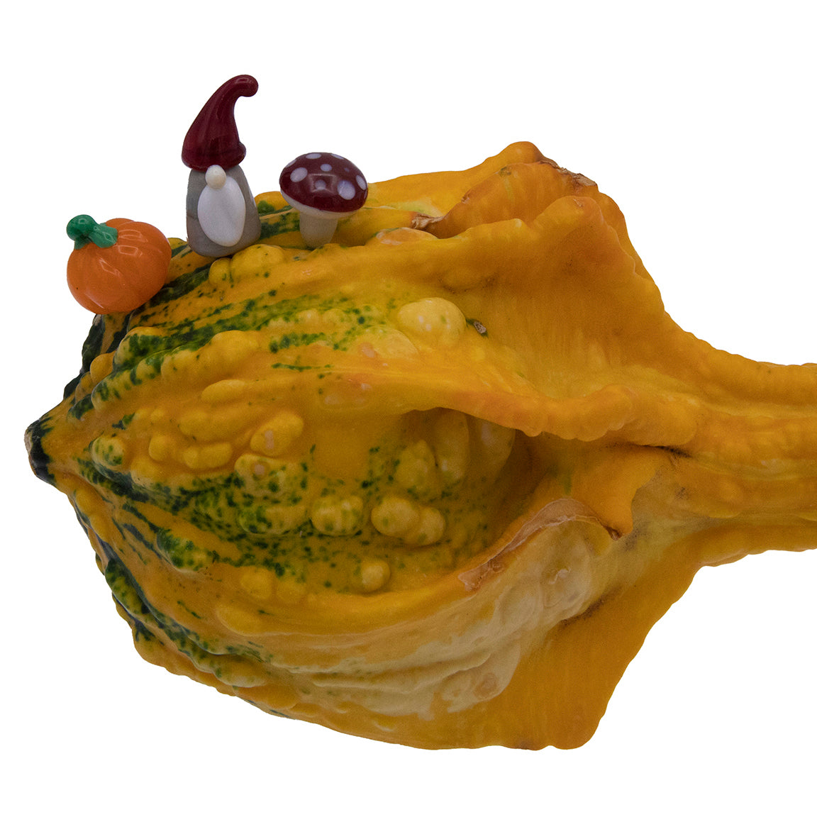 Three tiny plant decorations sit on a yellow and green ornamental squash. The decorations are an orange pumpkin with green stalk, a gnome with red pointy hat and white beard and a mushroom with a red cap and white spots.