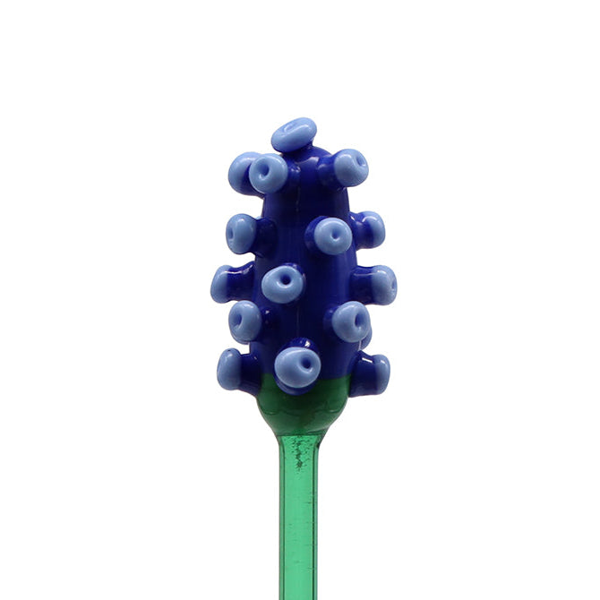 Grape Hyacinth Flower