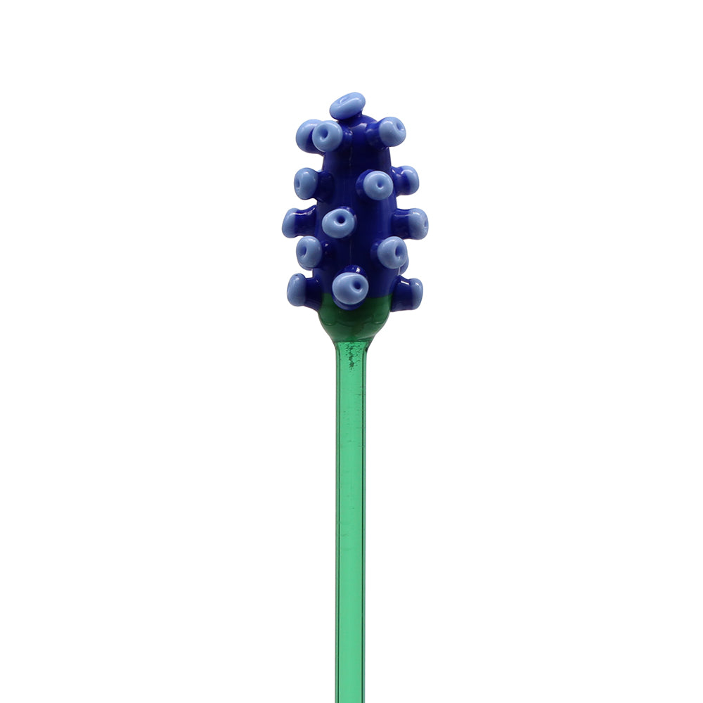 Grape Hyacinth Flower