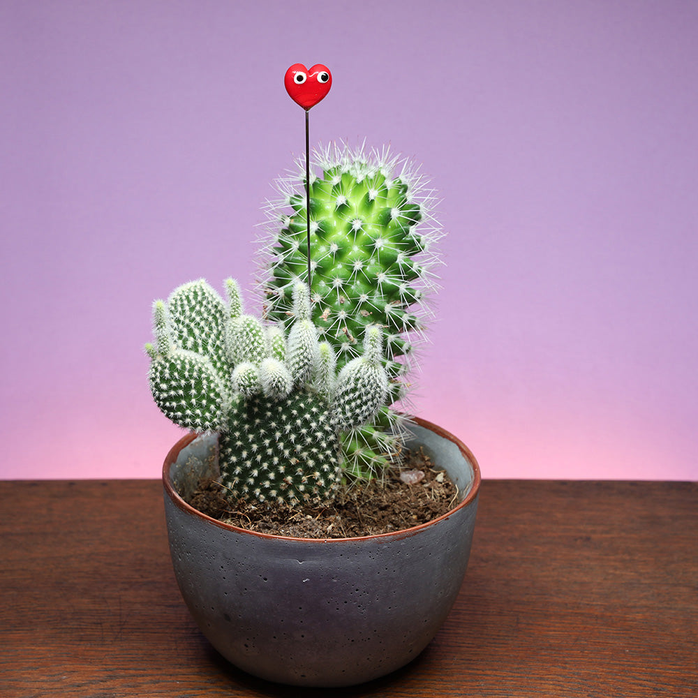 Red Heart with Eyes Plant Decoration