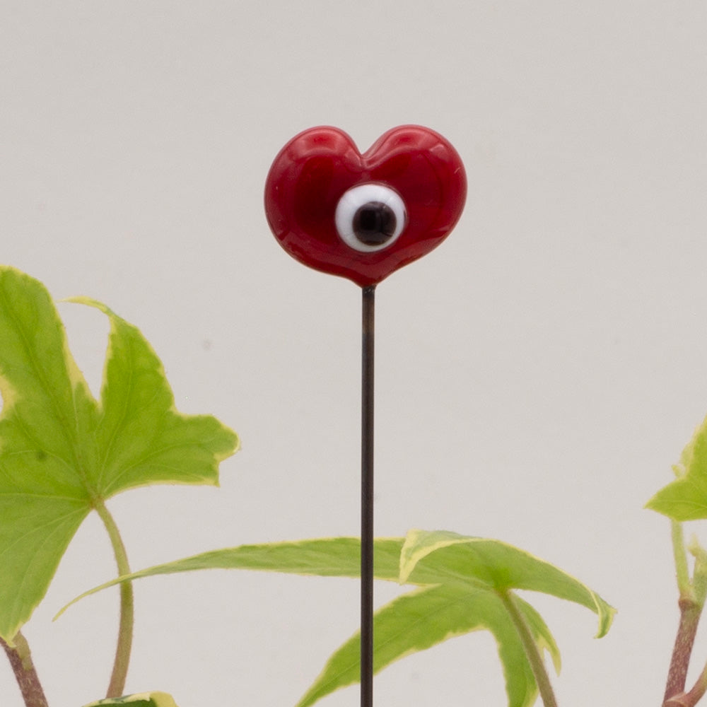 close up of red heart plant decoration with a single cartoon eye.