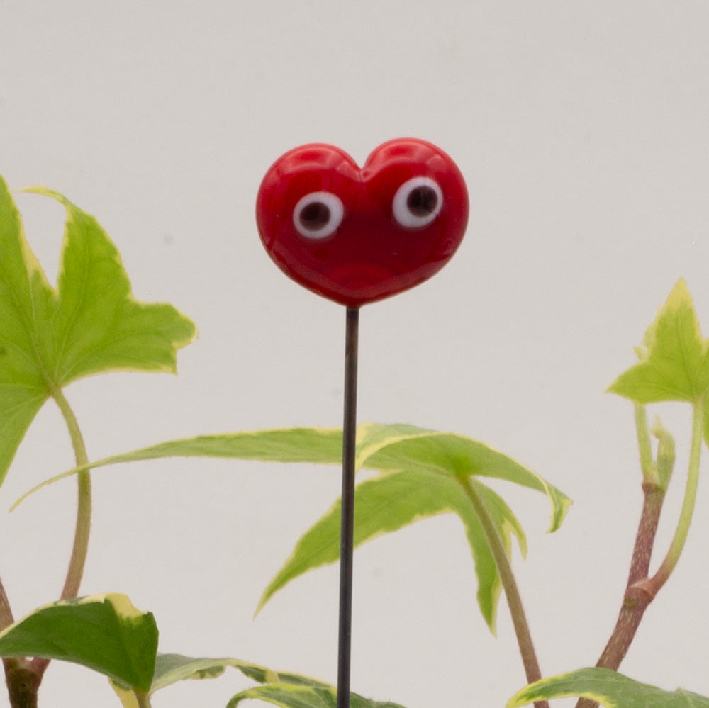 close up of red heart plant decoration with two cartoon eyes