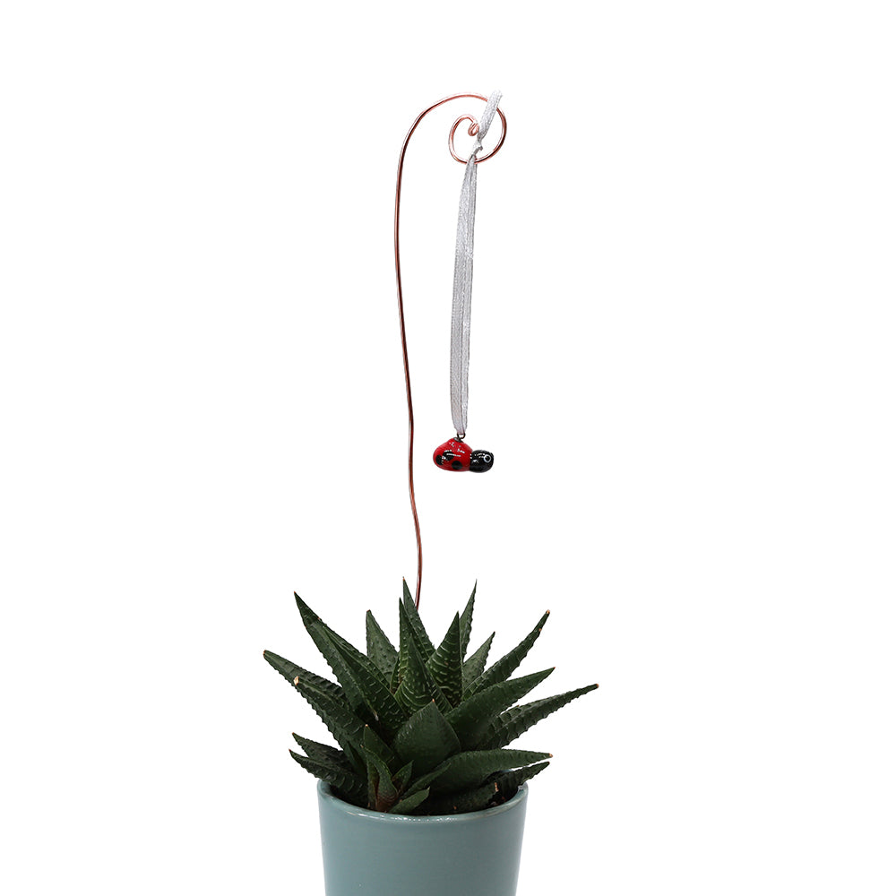 Tiny Glass Ladybird Hanging Decoration