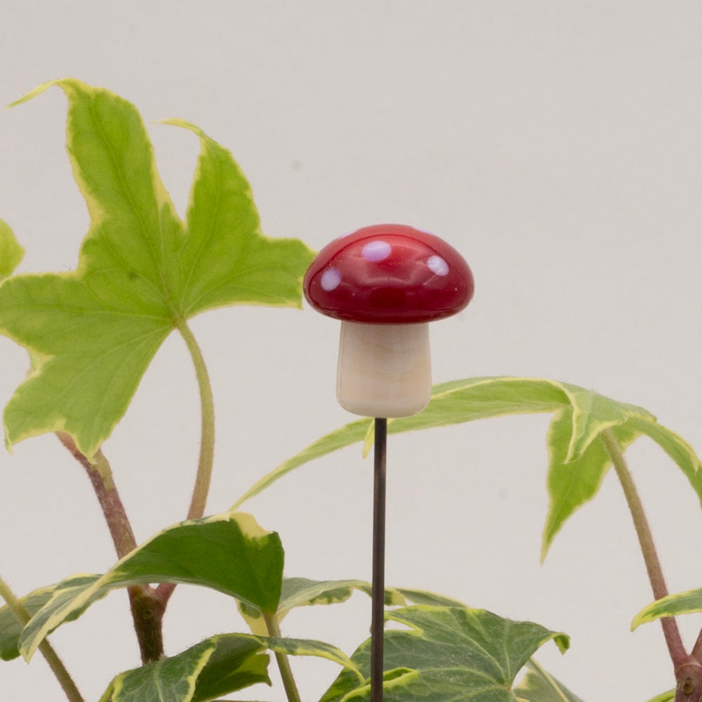 Close up of mushroom plant decoration which has cream stalk, rounded red cap and white dots