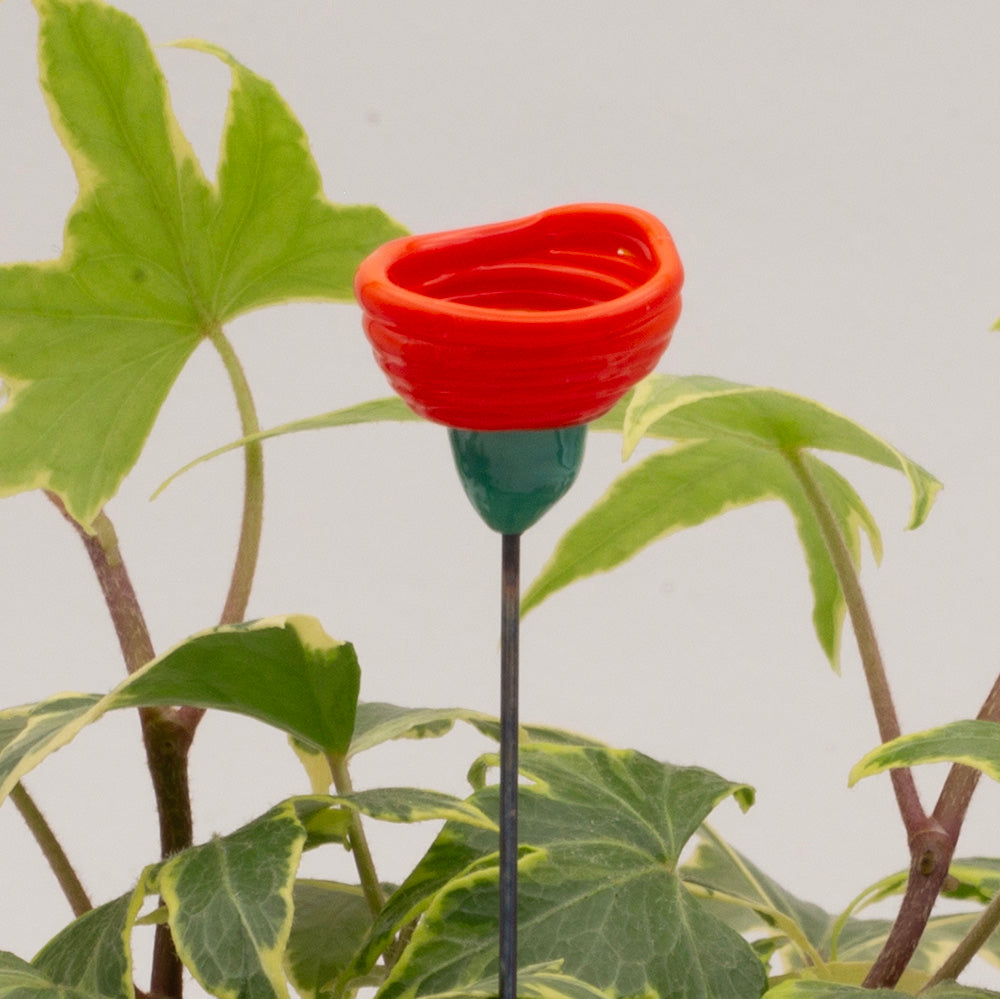 close up of orange plant decoration which has a green stalk and orange bowl